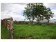 528 Quartpot Creek Road, Dungog NSW 2420
