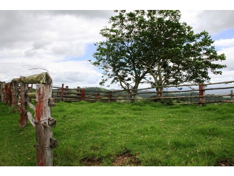 528 Quartpot Creek Road, Dungog NSW 2420