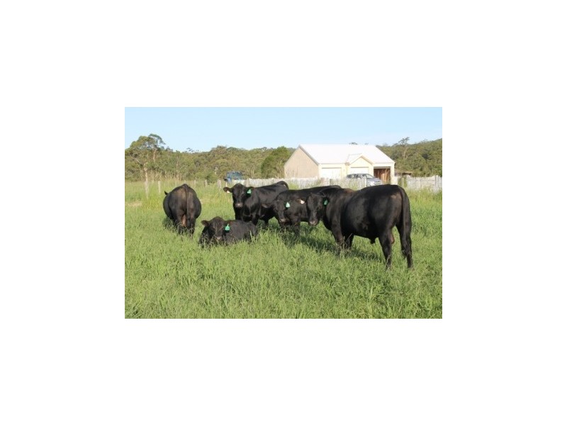 Lot 1 1369 Booral Road, Girvan NSW 2425