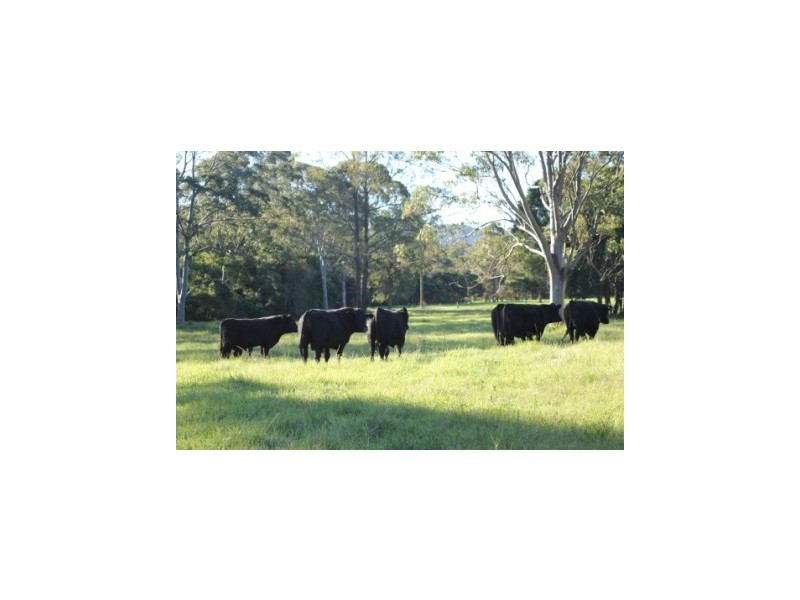 Lot 1 1369 Booral Road, Girvan NSW 2425