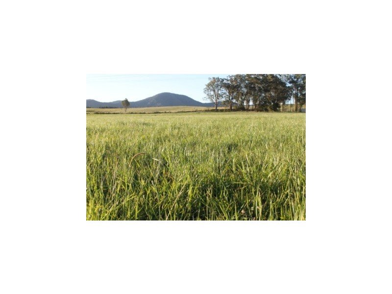 Lot 1 1369 Booral Road, Girvan NSW 2425