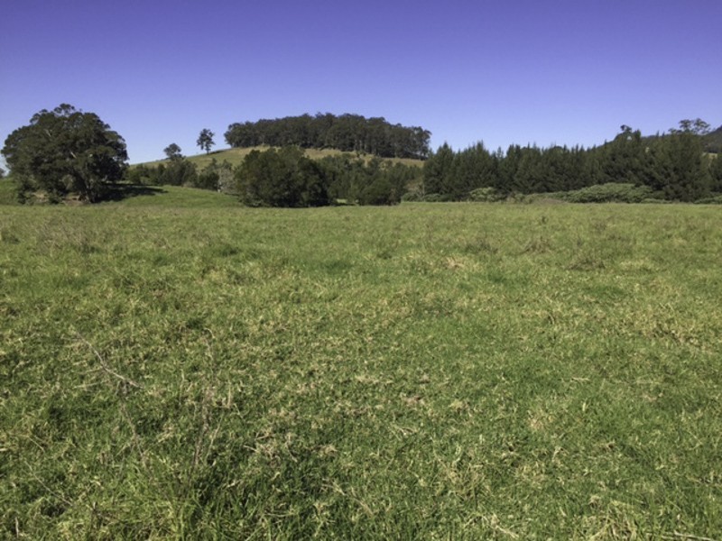 374 Moores Road, Dungog NSW 2420