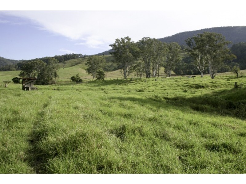 374 Moores Road, Dungog NSW 2420