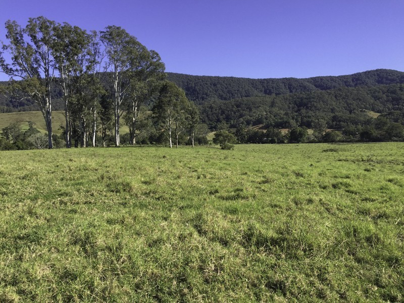 374 Moores Road, Dungog NSW 2420