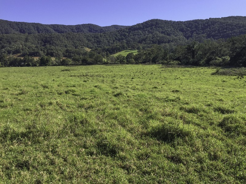 374 Moores Road, Dungog NSW 2420