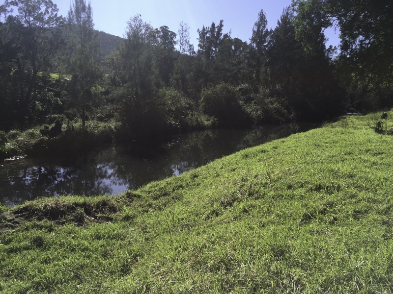 374 Moores Road, Dungog NSW 2420