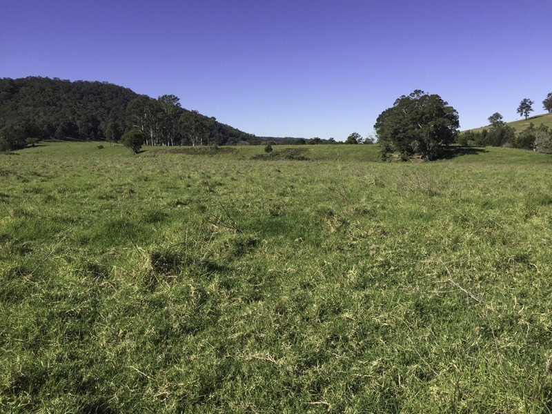 374 Moores Road, Dungog NSW 2420