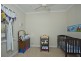 Dungog NSW 2420