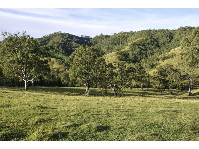 262 Dog Trap Creek Road, Gresford NSW 2311