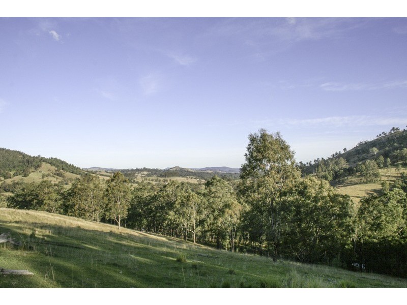 262 Dog Trap Creek Road, Gresford NSW 2311