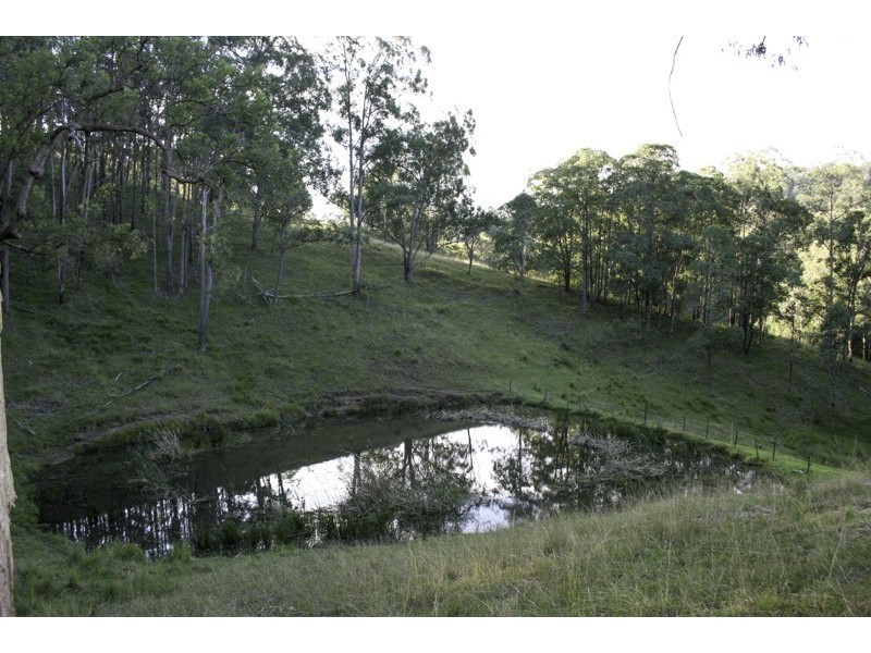 262 Dog Trap Creek Road, Gresford NSW 2311