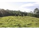 262 Dog Trap Creek Road, Gresford NSW 2311