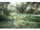 262 Dog Trap Creek Road, Gresford NSW 2311