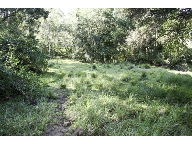 262 Dog Trap Creek Road, Gresford NSW 2311