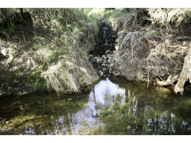 262 Dog Trap Creek Road, Gresford NSW 2311