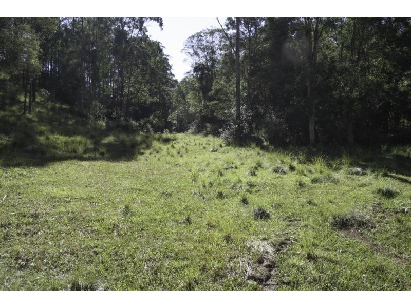262 Dog Trap Creek Road, Gresford NSW 2311