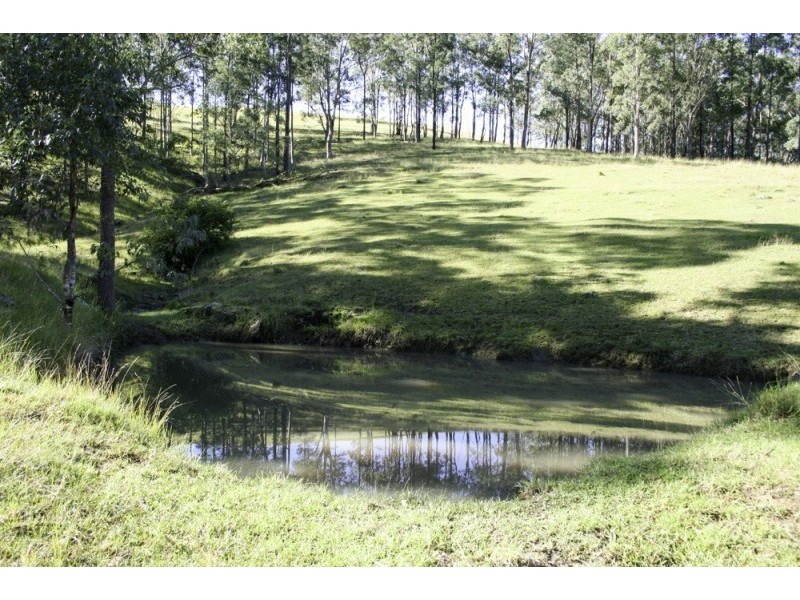 262 Dog Trap Creek Road, Gresford NSW 2311