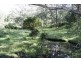 262 Dog Trap Creek Road, Gresford NSW 2311