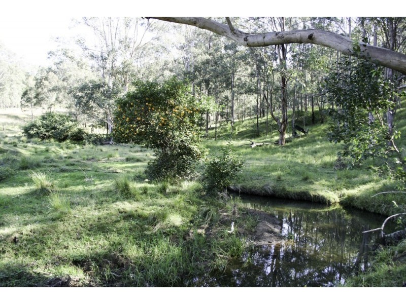 262 Dog Trap Creek Road, Gresford NSW 2311
