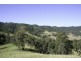 262 Dog Trap Creek Road, Gresford NSW 2311