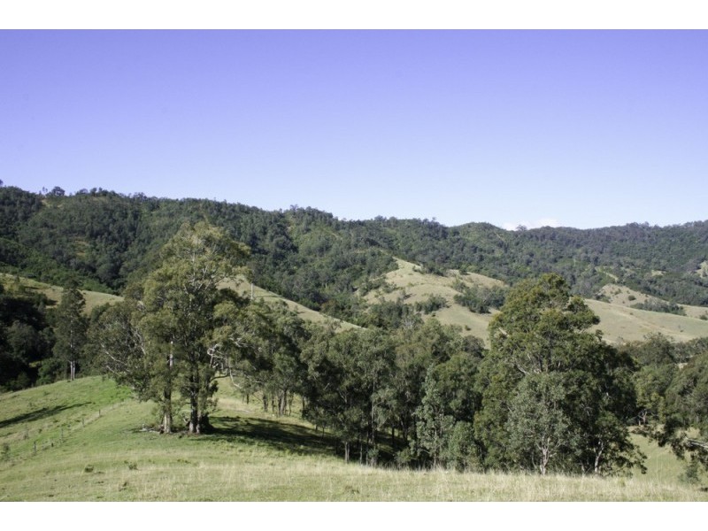 262 Dog Trap Creek Road, Gresford NSW 2311