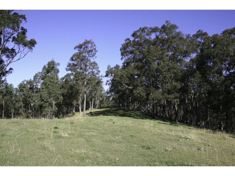 262 Dog Trap Creek Road, Gresford NSW 2311