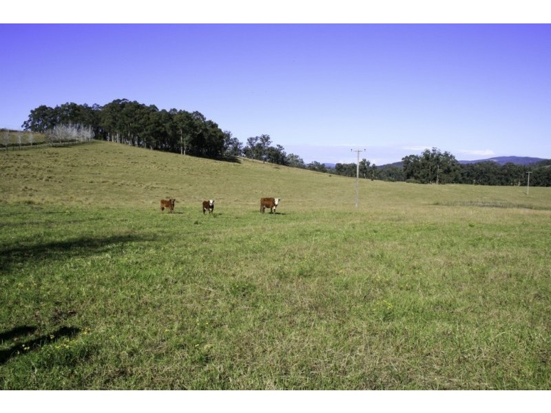 70 Bowdens Lane, Stroud NSW 2425