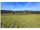 Lot 3 221 Fotheringay Road, Clarence Town NSW 2321