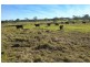 Lot 3 221 Fotheringay Road, Clarence Town NSW 2321