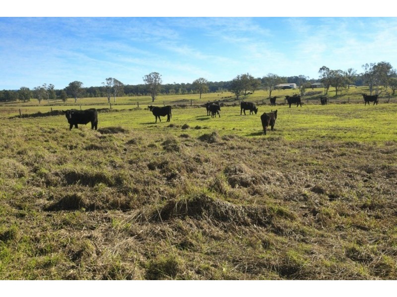 Lot 3 221 Fotheringay Road, Clarence Town NSW 2321