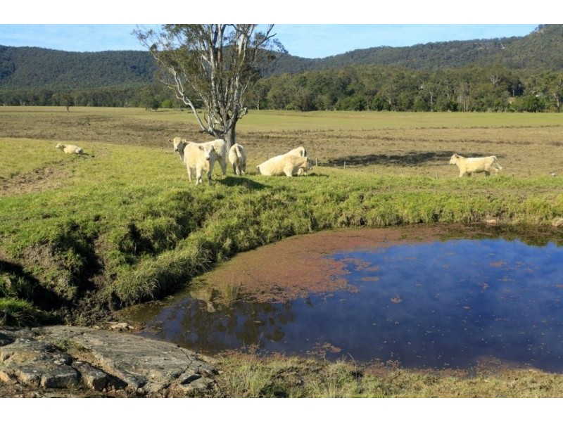 Lot 3 221 Fotheringay Road, Clarence Town NSW 2321