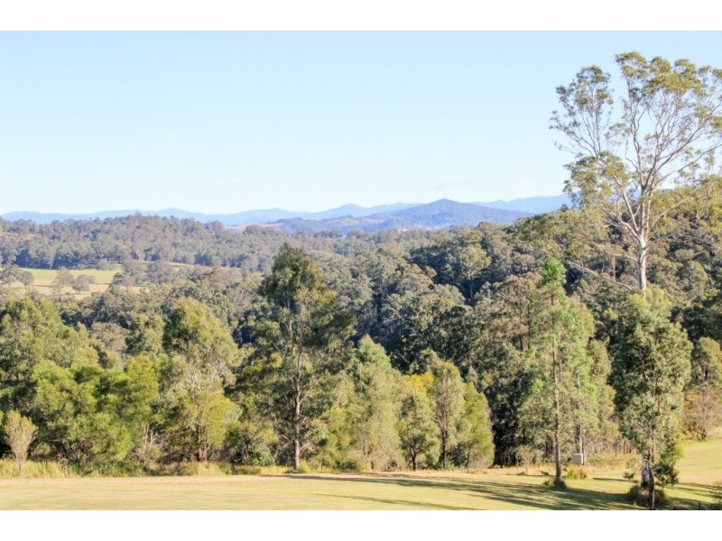 208 Moylans Road, Dungog NSW 2420