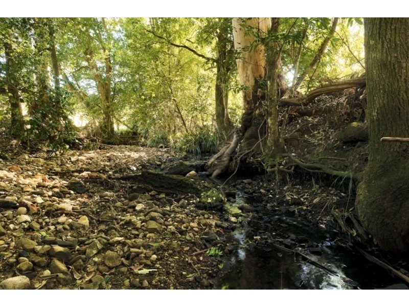 1368 Mill Creek Road, Stroud NSW 2425