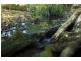 1368 Mill Creek Road, Stroud NSW 2425