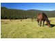 1368 Mill Creek Road, Stroud NSW 2425