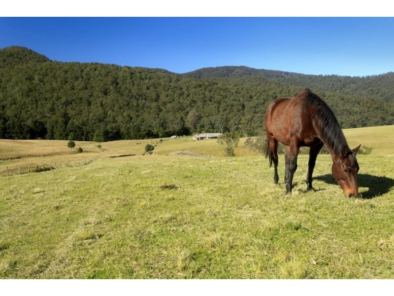 1368 Mill Creek Road, Stroud NSW 2425