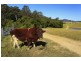 1368 Mill Creek Road, Stroud NSW 2425