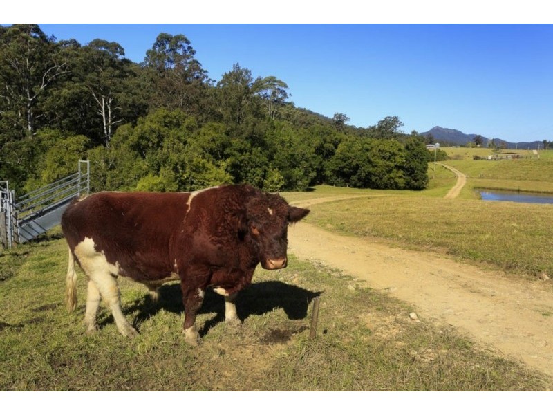1368 Mill Creek Road, Stroud NSW 2425