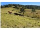 1368 Mill Creek Road, Stroud NSW 2425
