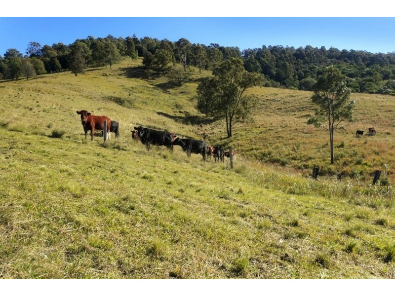 1368 Mill Creek Road, Stroud NSW 2425