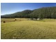 1368 Mill Creek Road, Stroud NSW 2425
