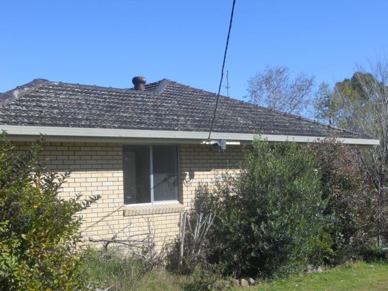 Dungog NSW 2420
