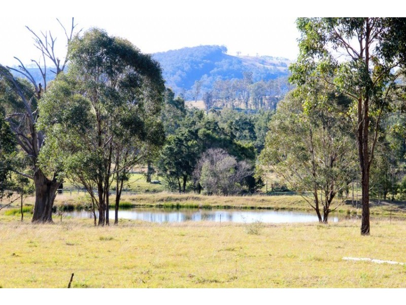 609 Wallarobba-Brookfield Road, Dungog NSW 2420