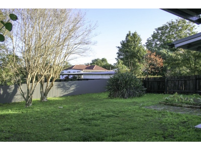 Dungog NSW 2420