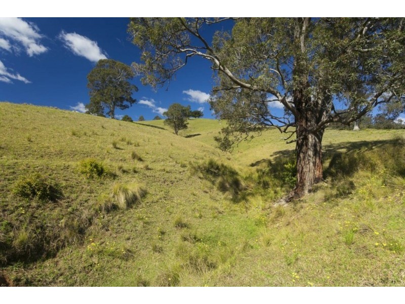 32 Longbottom Road, Dungog NSW 2420