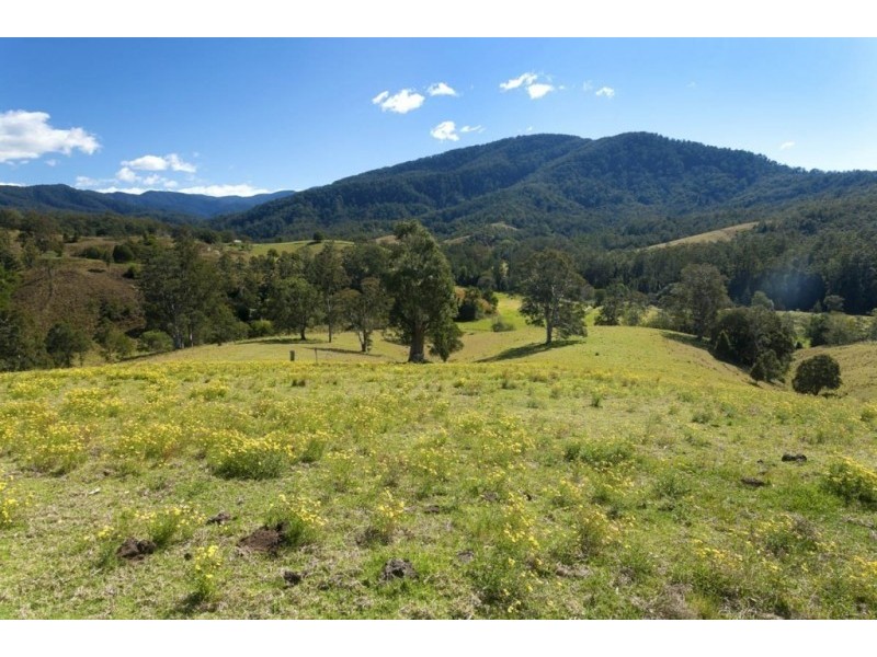 32 Longbottom Road, Dungog NSW 2420