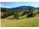 32 Longbottom Road, Dungog NSW 2420