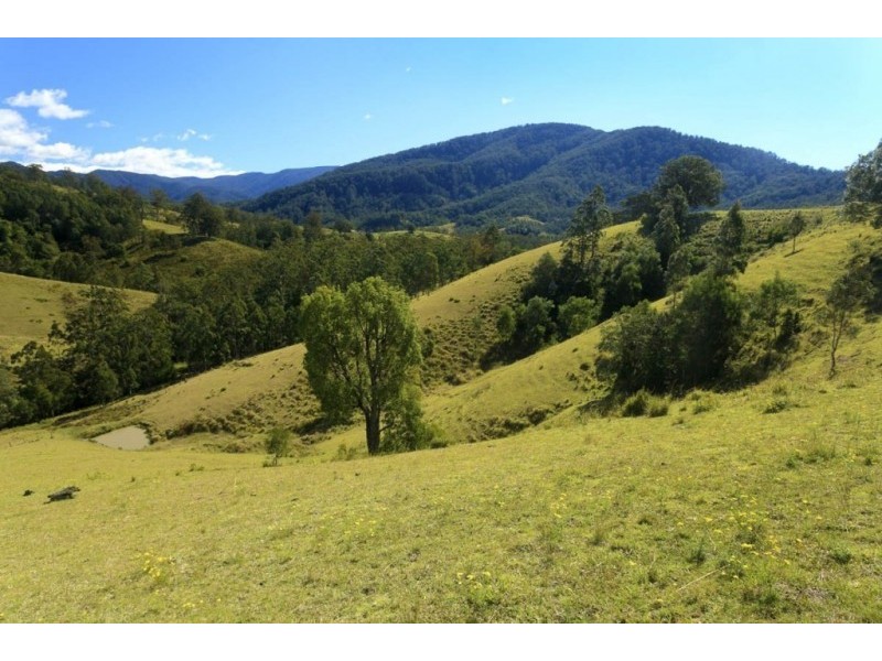 32 Longbottom Road, Dungog NSW 2420