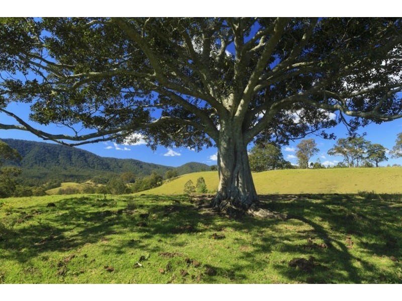 32 Longbottom Road, Dungog NSW 2420