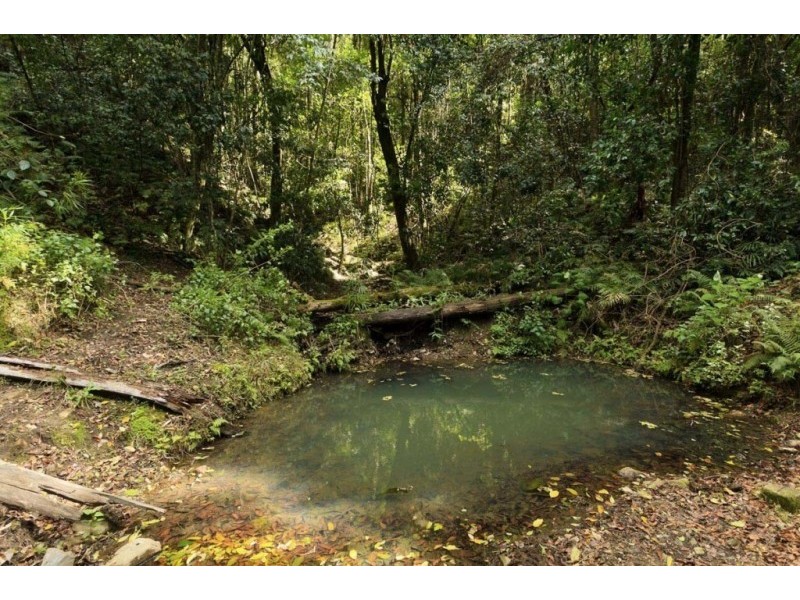 32 Longbottom Road, Dungog NSW 2420